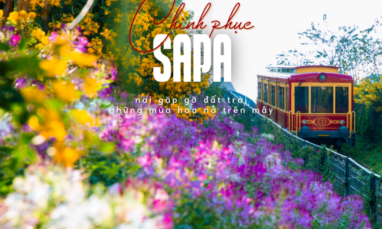 HẠ LONG - NINH BÌNH - HÀ NỘI - SAPA - HÀ KHẨU 6 NGÀY 5 ĐÊM