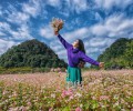 DU LỊCH HÀ GIANG THÁNG 10 - MÙA CAO NGUYÊN ĐÁ NỞ HOA