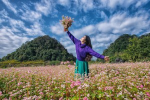DU LỊCH HÀ GIANG THÁNG 10 - MÙA CAO NGUYÊN ĐÁ NỞ HOA